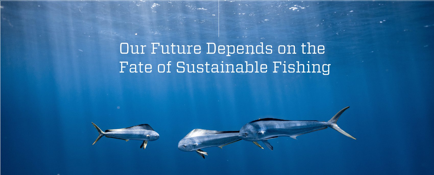 Mahi Mahi - Sustainable Fishing