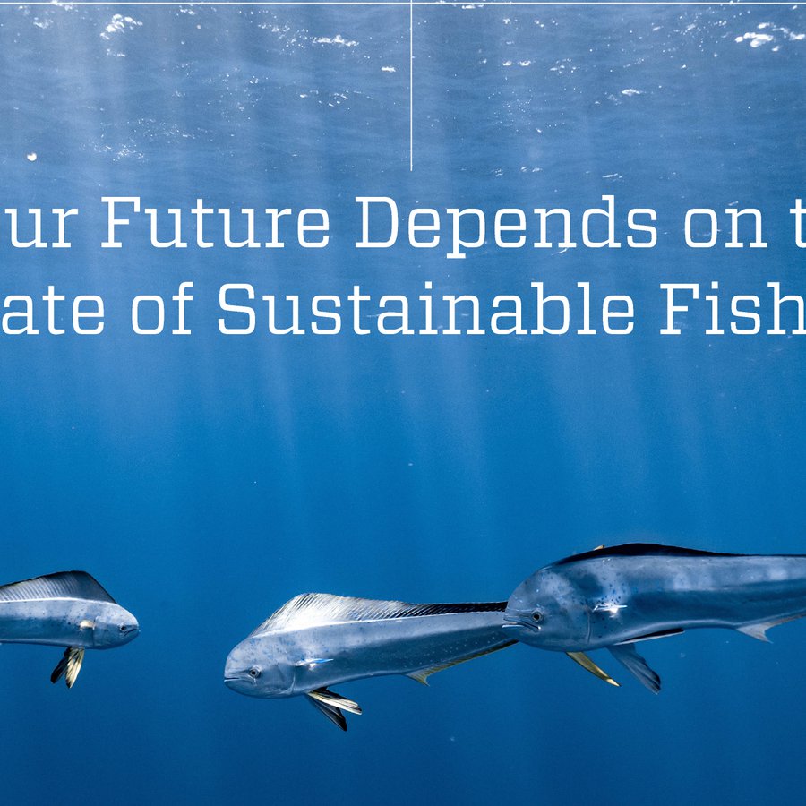 Our Future Depends on the Fate of Sustainable Fishing