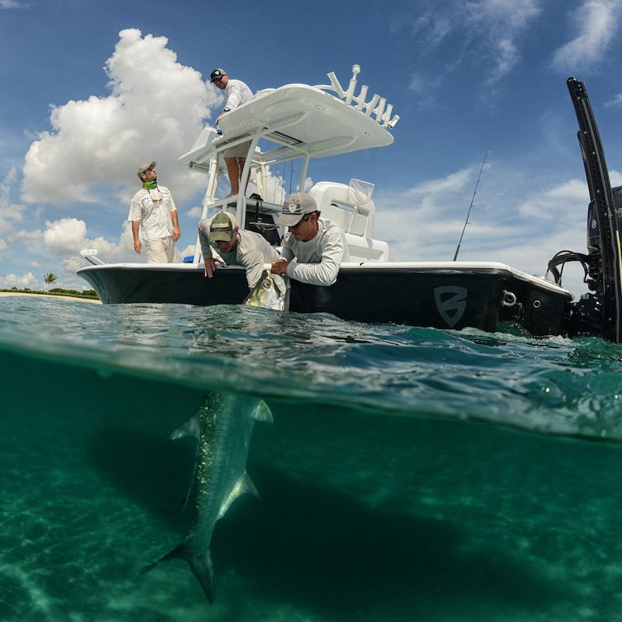 Conservation: Learn How to Properly Catch and Release Fish