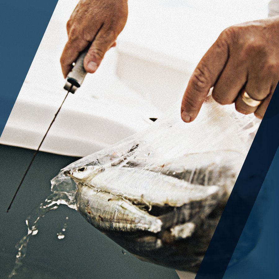 Filleting Fish with a Fixed-Blade Knife vs. an Electric Knife