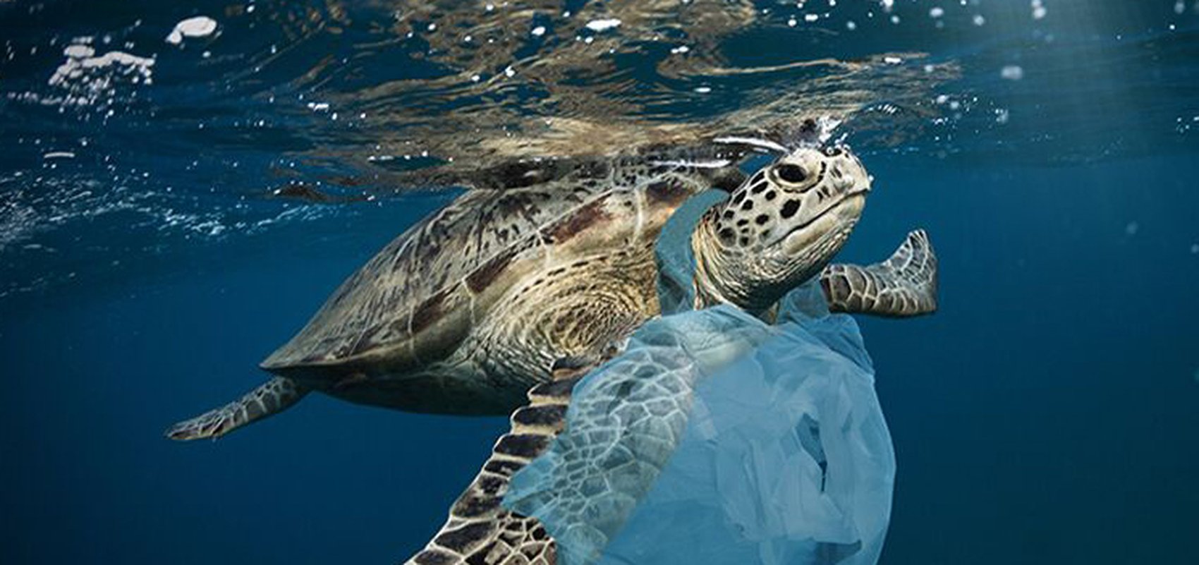 Helpful Tips for Cleaner, More Responsible Boating