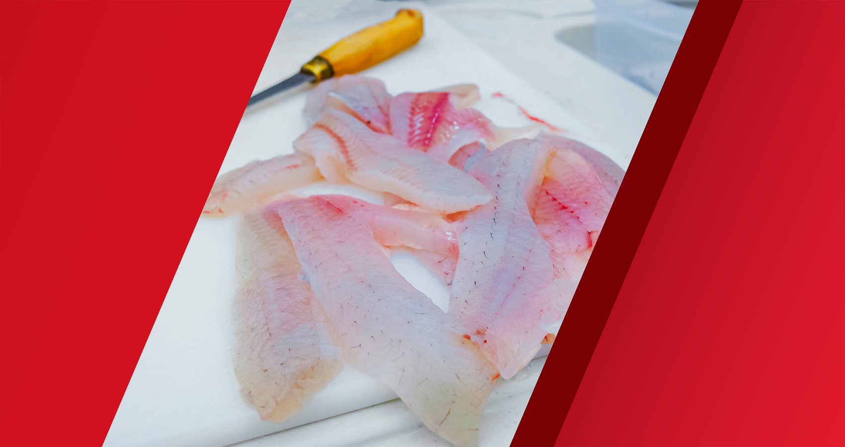 How to Fillet Fish with a Fixed-Blade Knife
