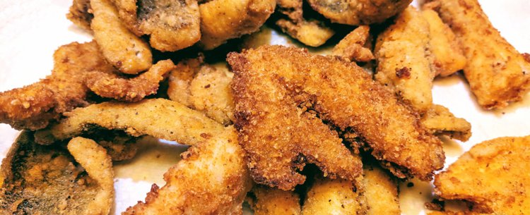 Cook Your Catch: Friday Fish Fry