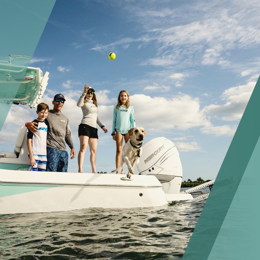 6 Tips for Boating Safely with Your Dog