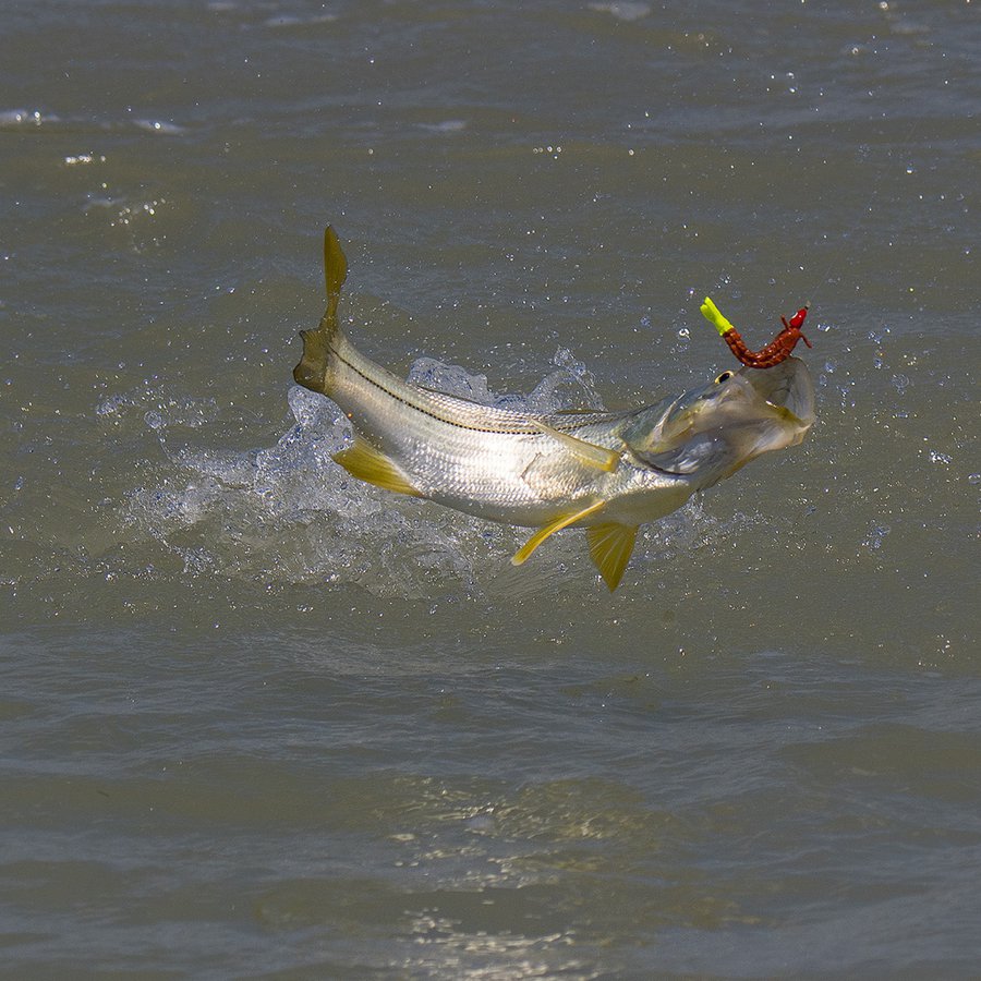 Favorite Fishing Spots of Mercury Influencers & Pros: Part 2