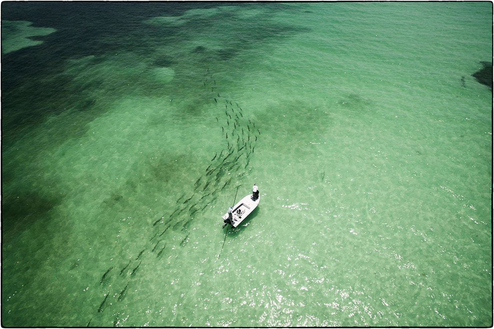 The Everglades: A National Treasure – Part 1