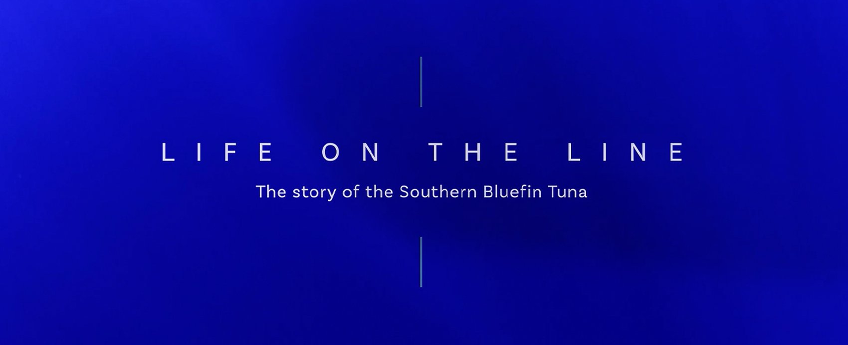 Saving the Southern Bluefin Tuna | Mercury marine