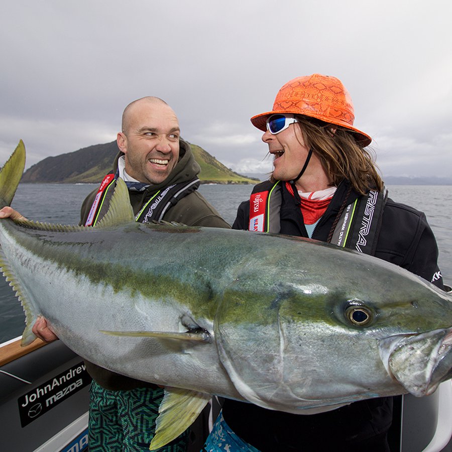 Big Angry Fish